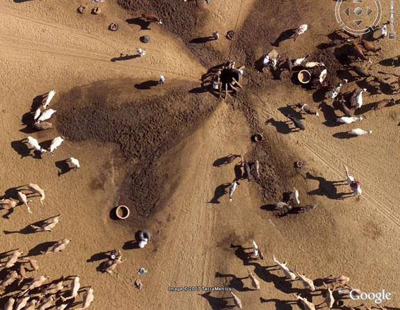 B&uuml;ffelherden (c) Google earth africa